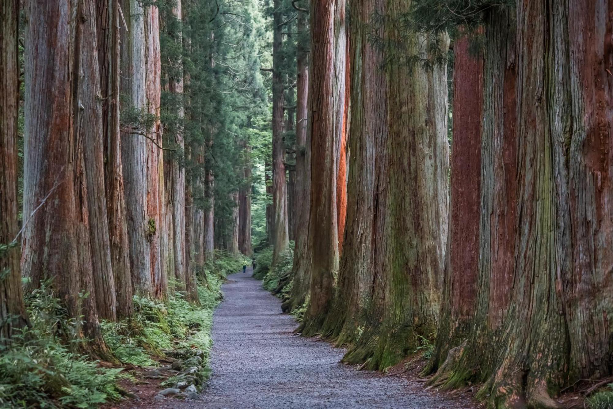 Hotel Yumotoya Matsumoto Zewnętrze zdjęcie